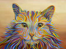 Painting of cat face