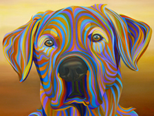 Painting of dog face